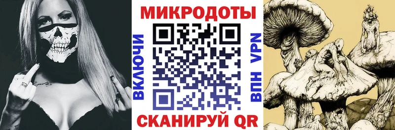 Галлюциногенные грибы Psilocybe  купить наркотики сайты  нарко площадка какой сайт  Новодвинск 