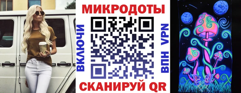Псилоцибиновые грибы Psilocybine cubensis Новодвинск